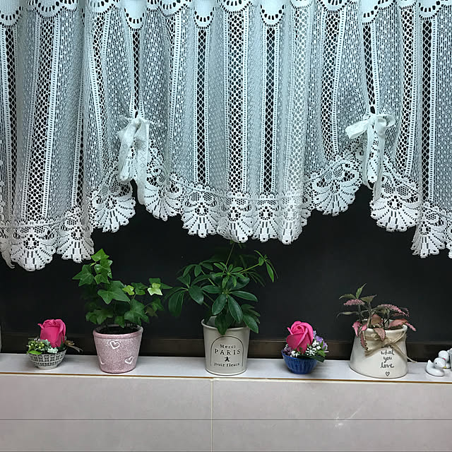 collonさんの実例写真