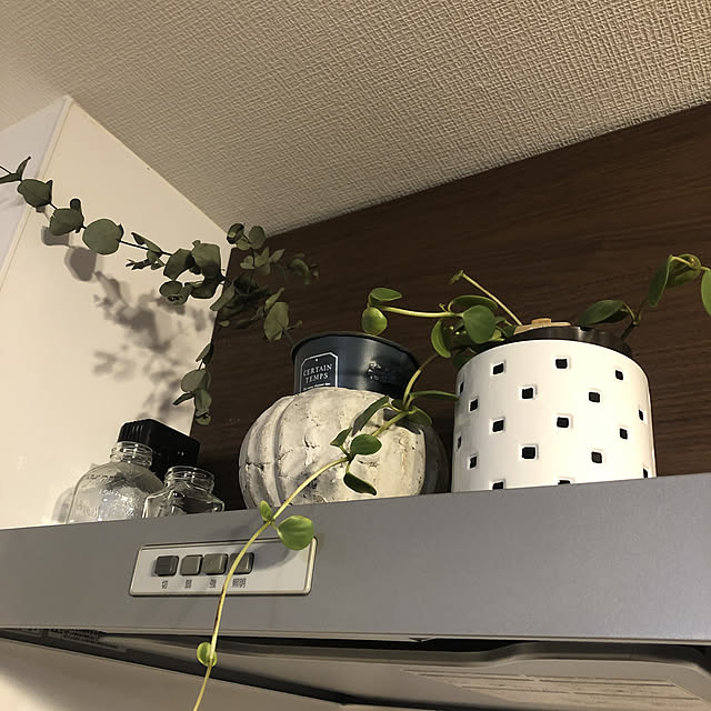 Rioさんの実例写真