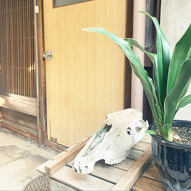 Saiさんの実例写真
