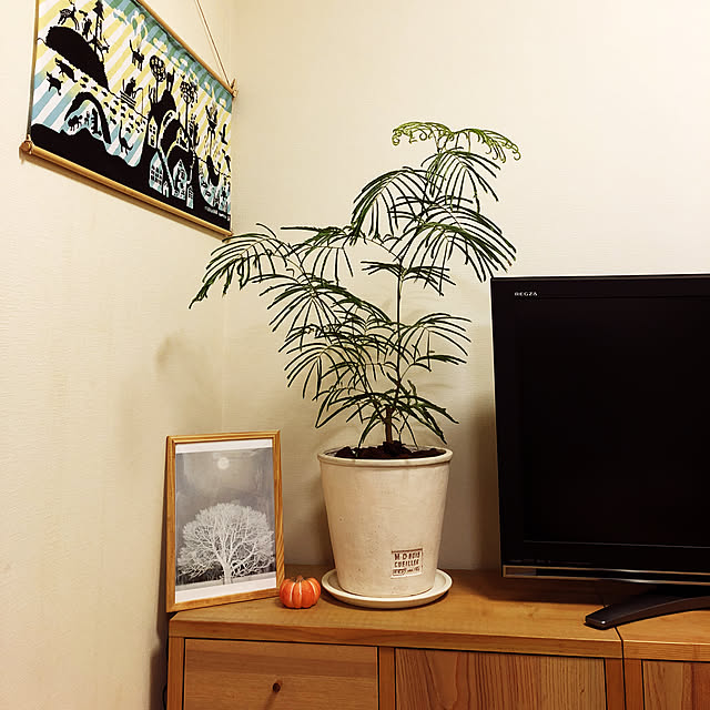 norisanさんの実例写真