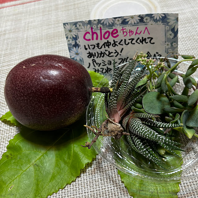 chIoeさんの部屋