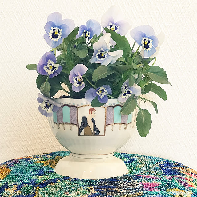 fuyiqian1026さんの実例写真