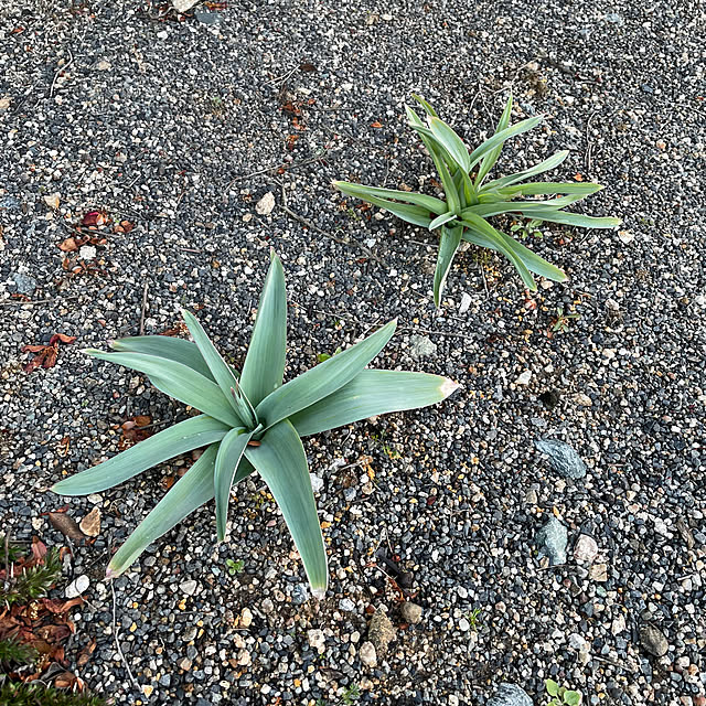 shin0719さんの実例写真