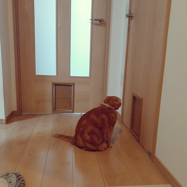 naoさんの実例写真
