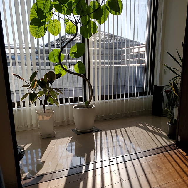 flowさんの実例写真