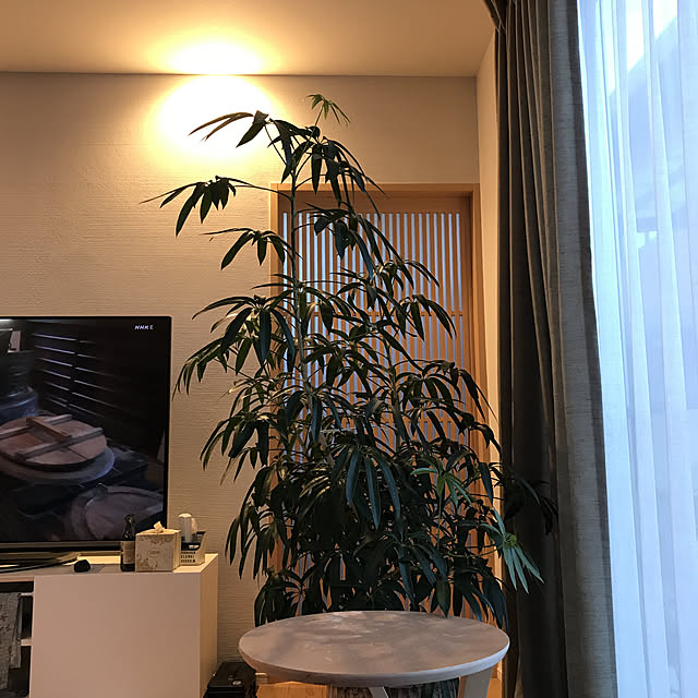 Haruさんの実例写真