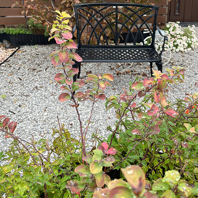 ronronさんの部屋