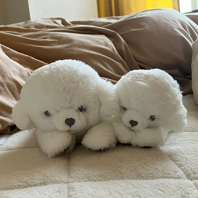 hikaruuさんの実例写真