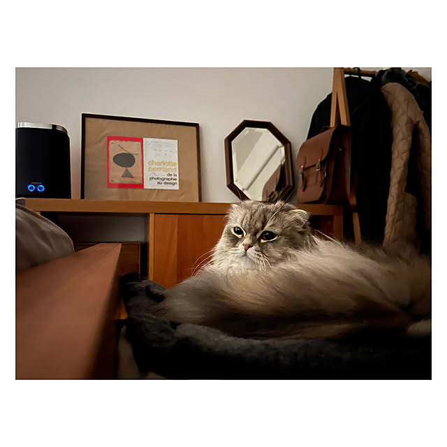 gfさんの実例写真