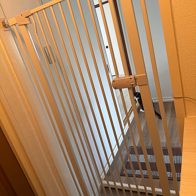RYOさんの実例写真