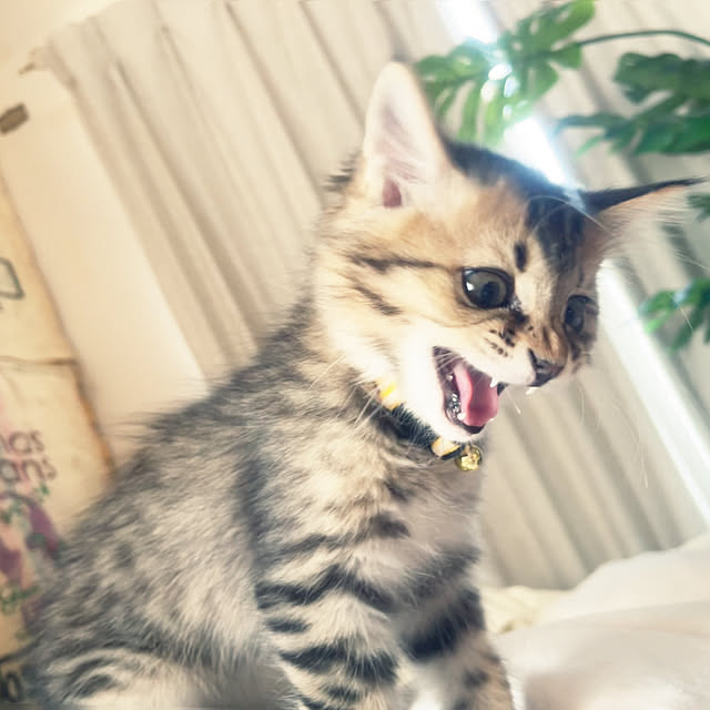 Mさんの部屋