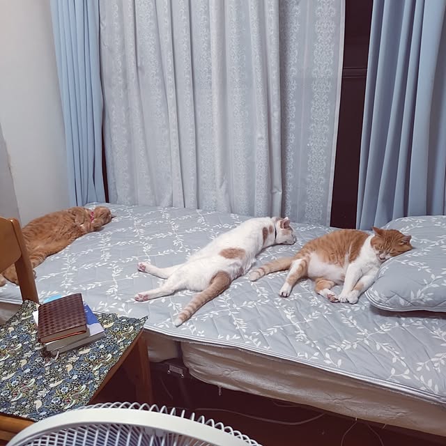 NOAHさんの実例写真