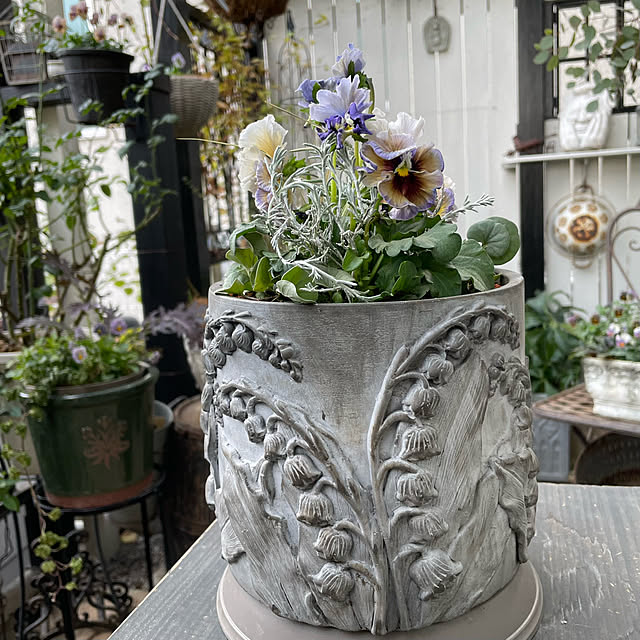 shiropenguinさんの実例写真