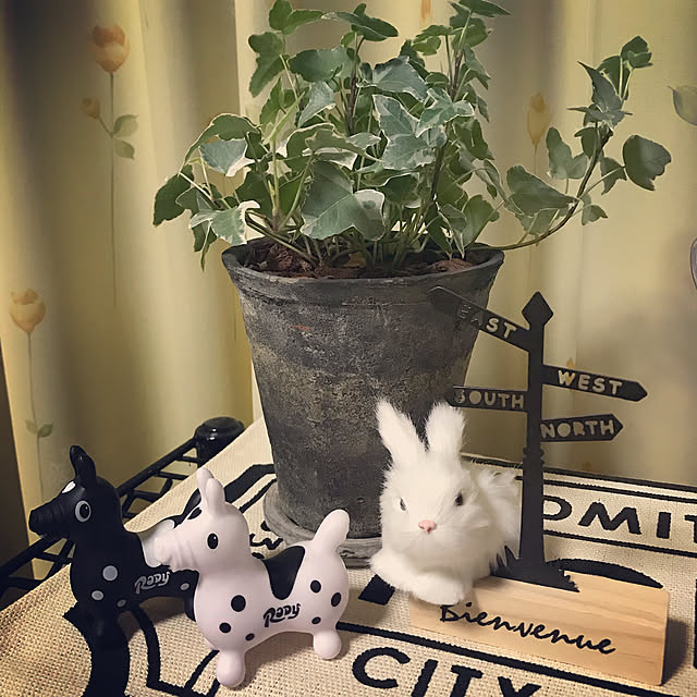 kaoriさんの実例写真
