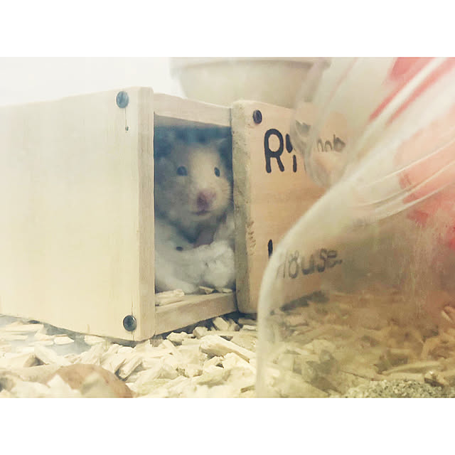38さんの実例写真