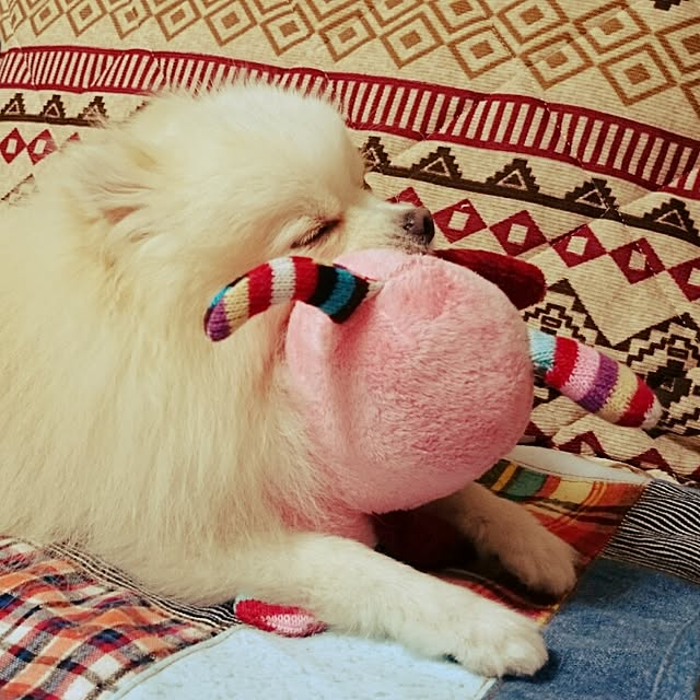 yukaさんの実例写真