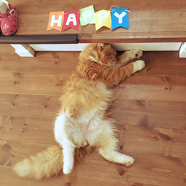 piyolandさんの実例写真