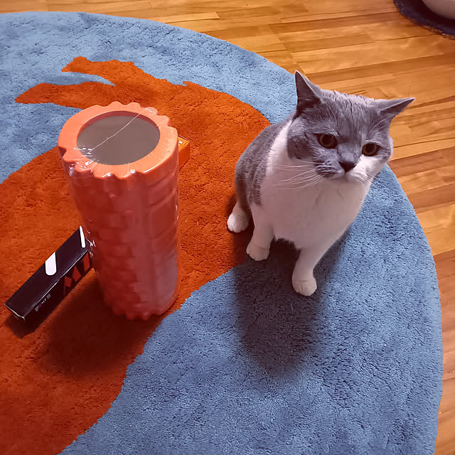 rhuさんの実例写真