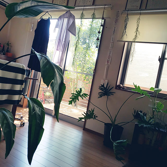 mikoさんの実例写真
