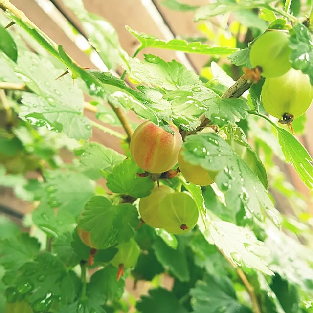 Takeshiさんの実例写真
