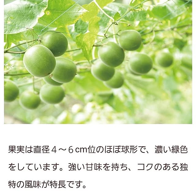 love1017さんの部屋