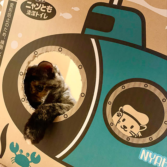 icchiiiさんの実例写真