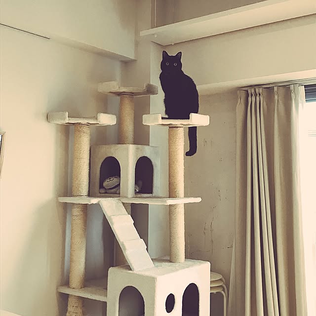 s.uraさんの実例写真