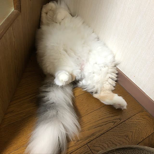 keibooさんの実例写真