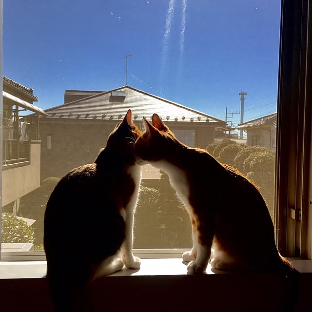 room0610さんの実例写真