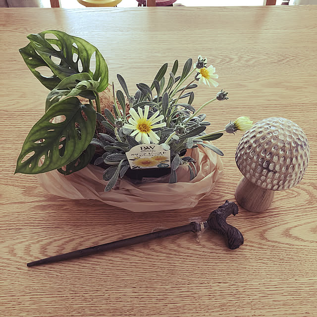 mimi.mocchiさんの実例写真