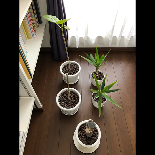 _sakumasikiさんの実例写真