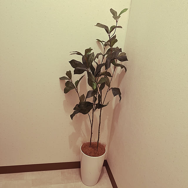 syujiさんの実例写真