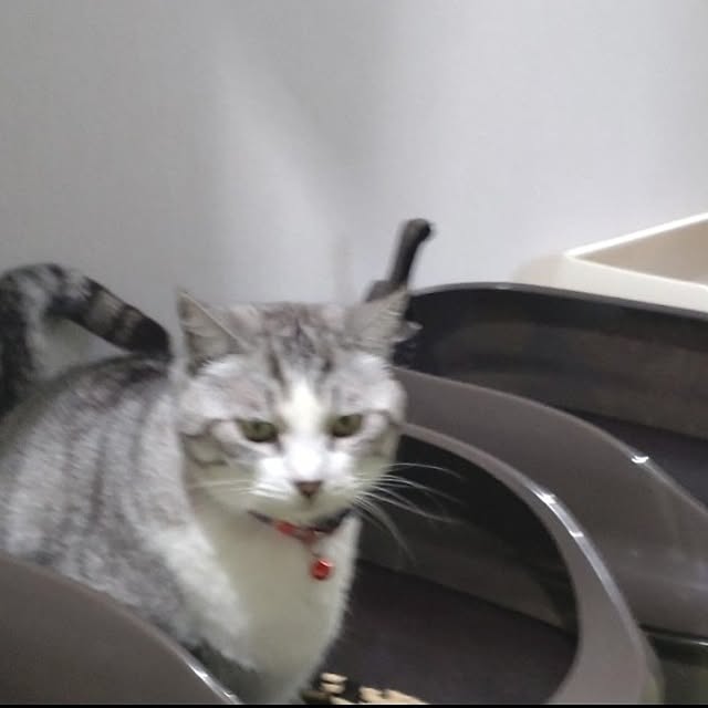 mntcさんの部屋