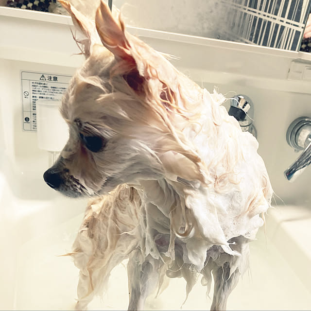 1546さんの実例写真