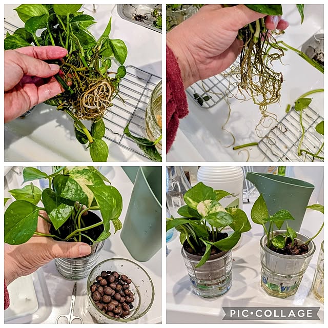 mi-saさんの部屋