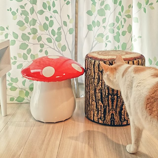 to-fuさんの実例写真