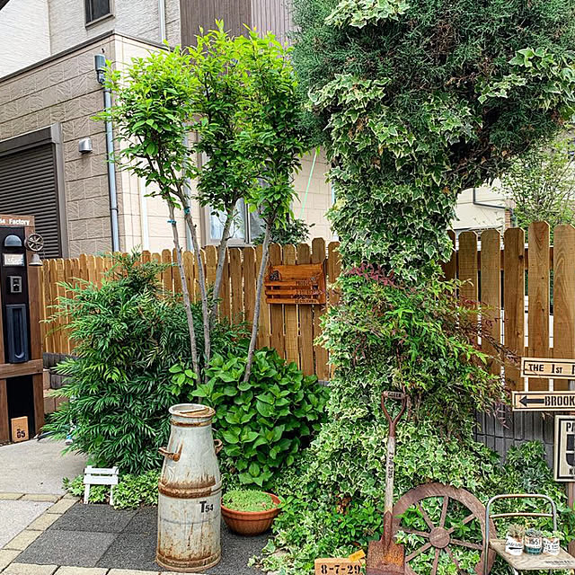 a-chanさんの実例写真