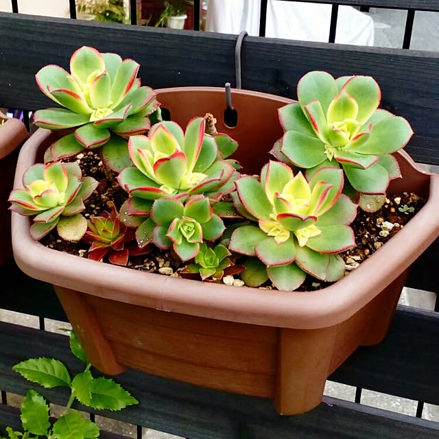 VERANDARJUNさんの実例写真