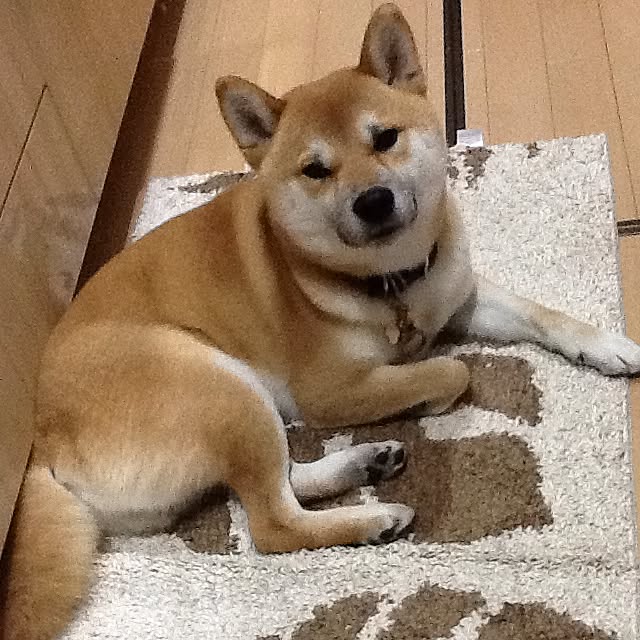 kotaさんの実例写真