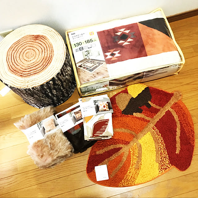 eriさんの実例写真