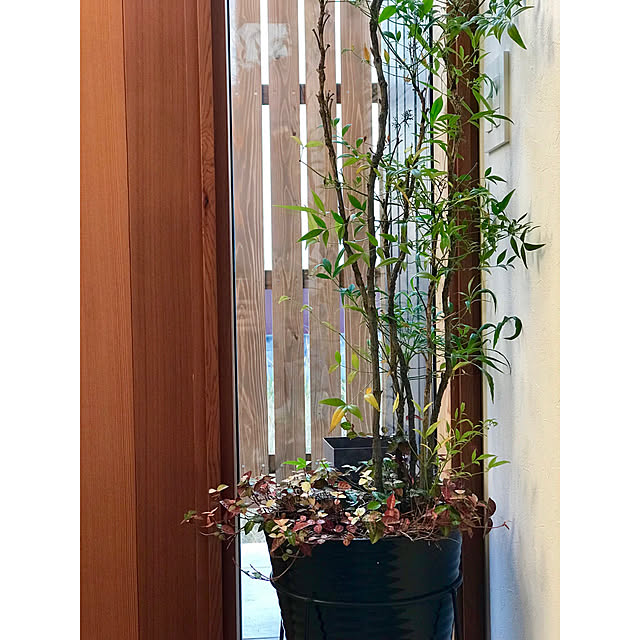 marocoさんの実例写真