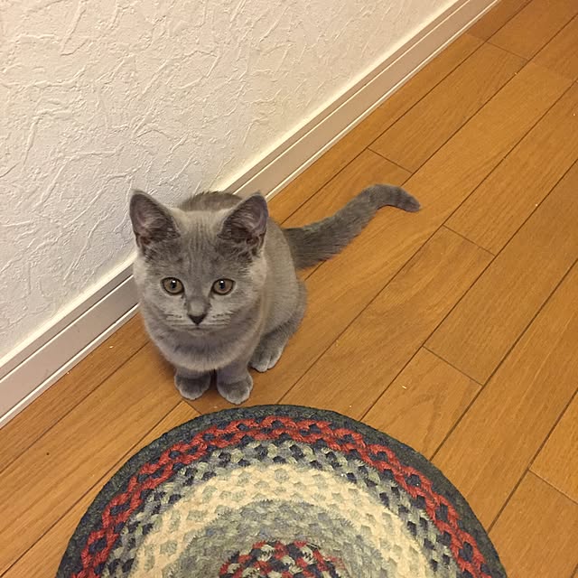 nonnonさんの実例写真