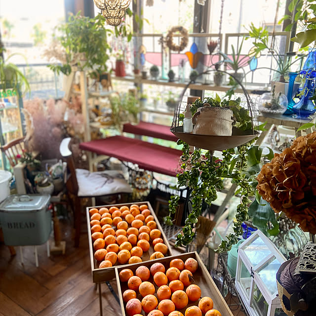 na-chanさんの部屋