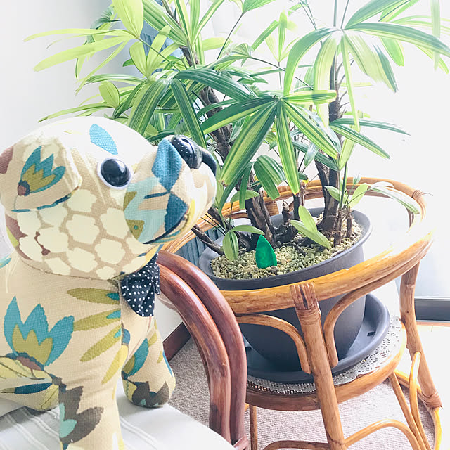 eriさんの実例写真