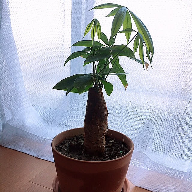 017さんの実例写真