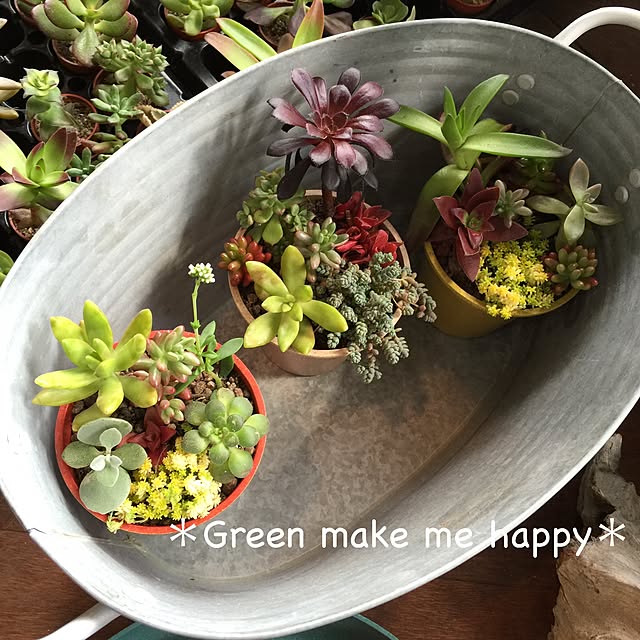 mikkoさんの実例写真