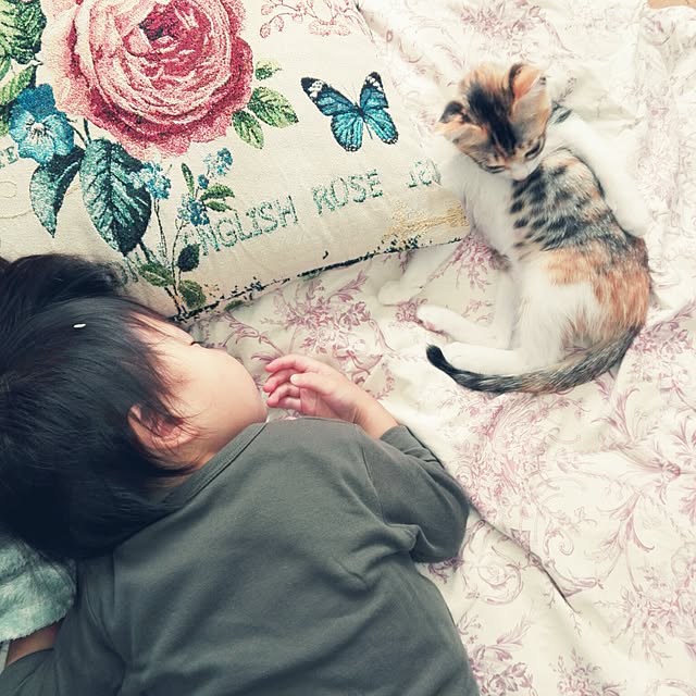 noraさんの実例写真