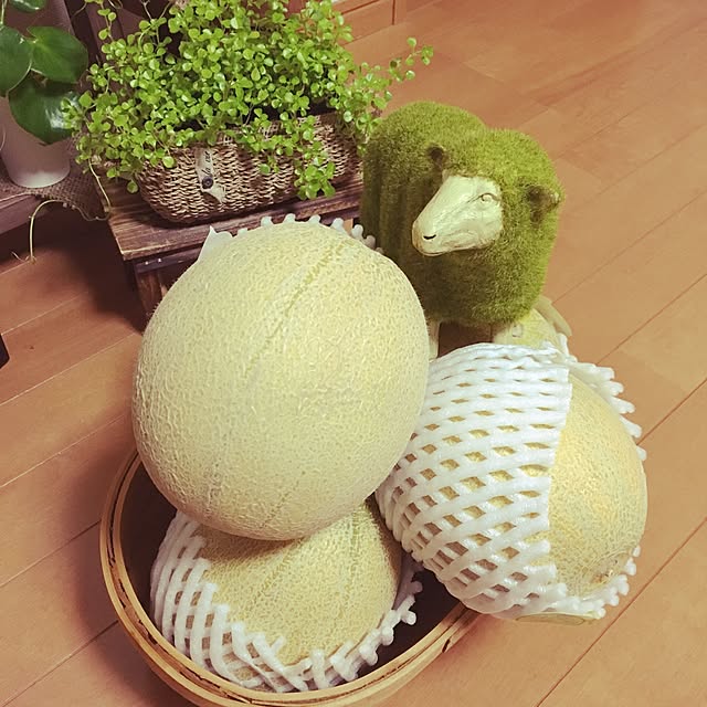 juboccoさんの実例写真