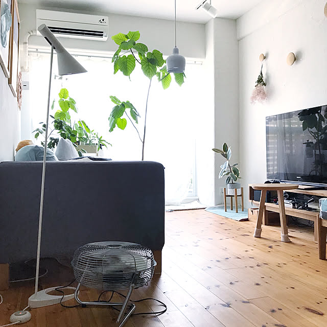 Hisayoさんの実例写真