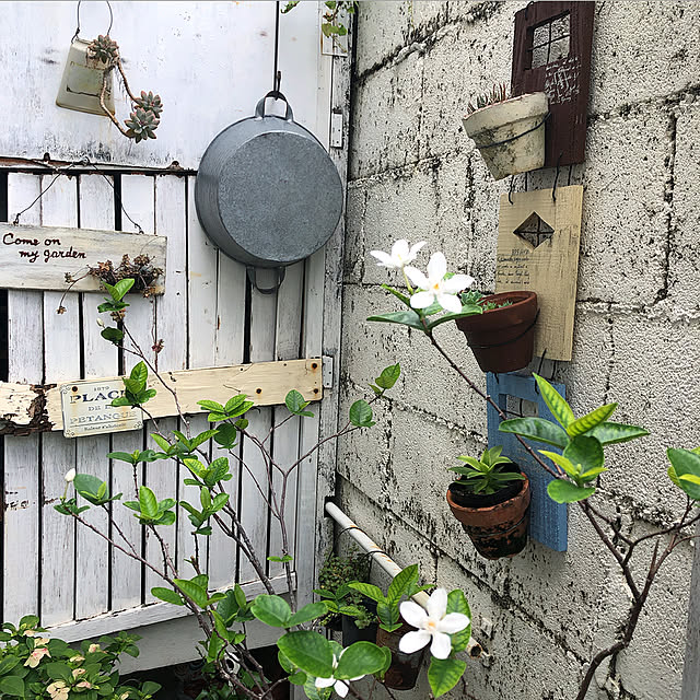coraruさんの実例写真